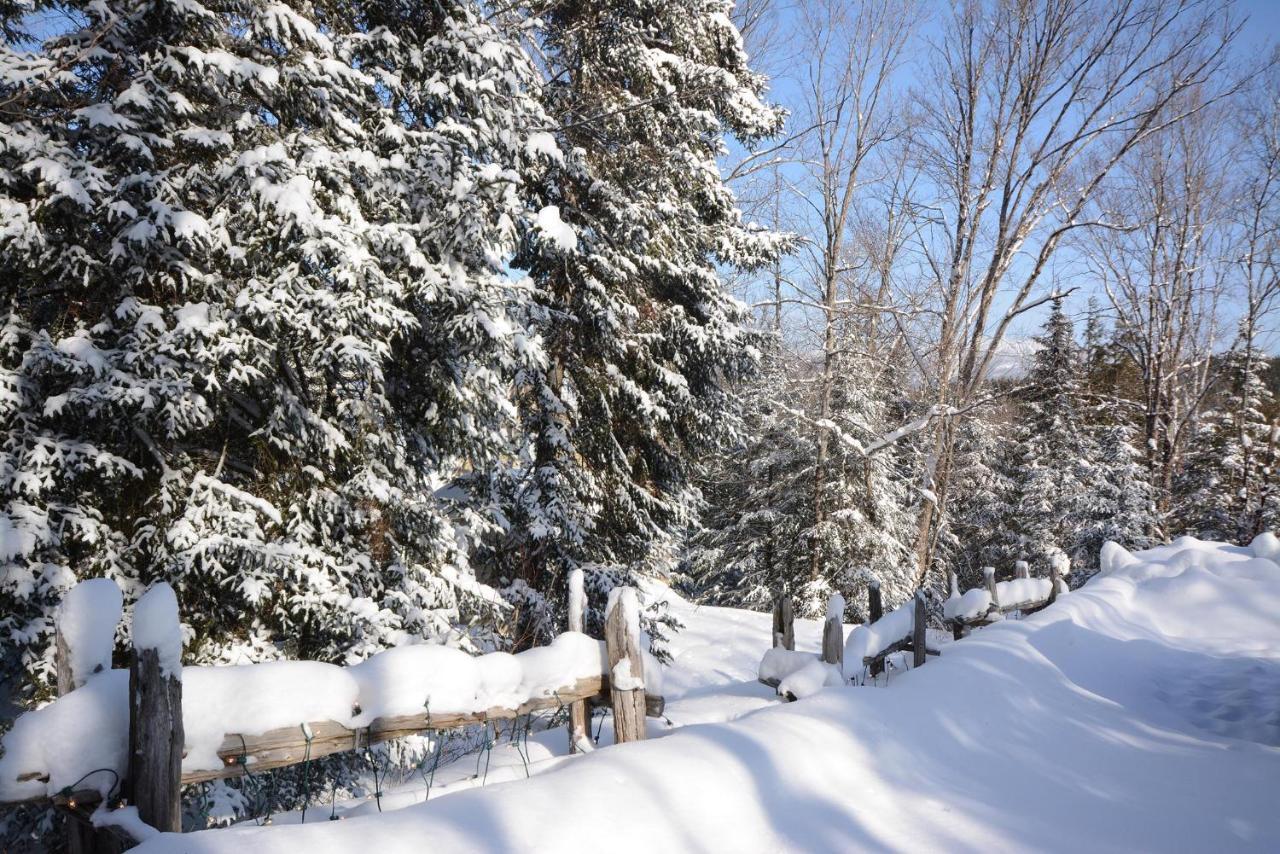 Jardin Du Village By Chez Tremblant Mont-Tremblant Exterior photo