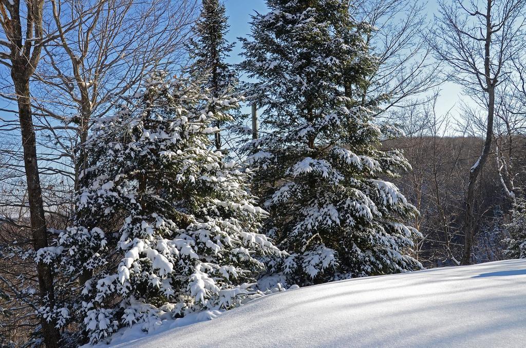 Jardin Du Village By Chez Tremblant Mont-Tremblant Room photo